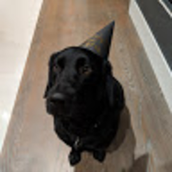 Meet your Posher, Anthy - Picture 1 of 1